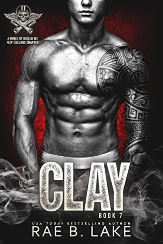 Rae B Lake book cover