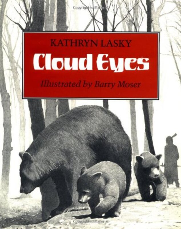 Book cover for "Cloud Eyes" by Kathryn Lasky