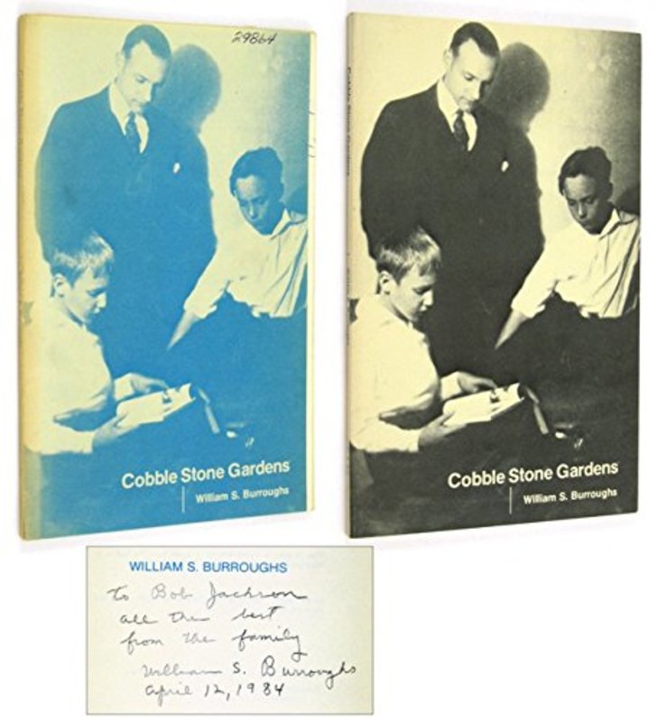 Book cover for "Cobble Stone Gardens" by William S Burroughs