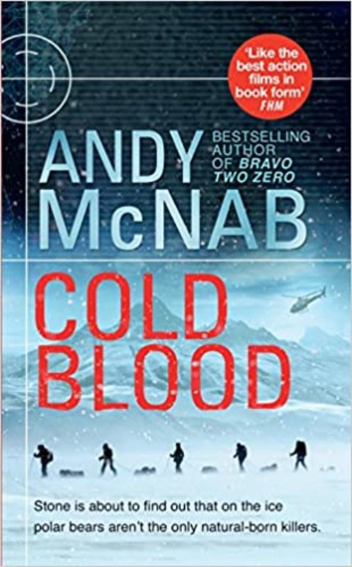 Nick Stone book cover