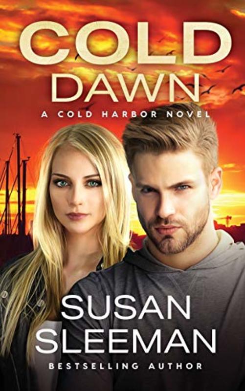 Book cover for "Cold Dawn" by Susan Sleeman