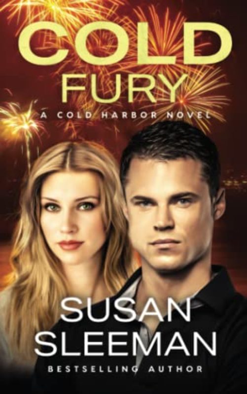 Book cover for "Cold Fury" by Susan Sleeman