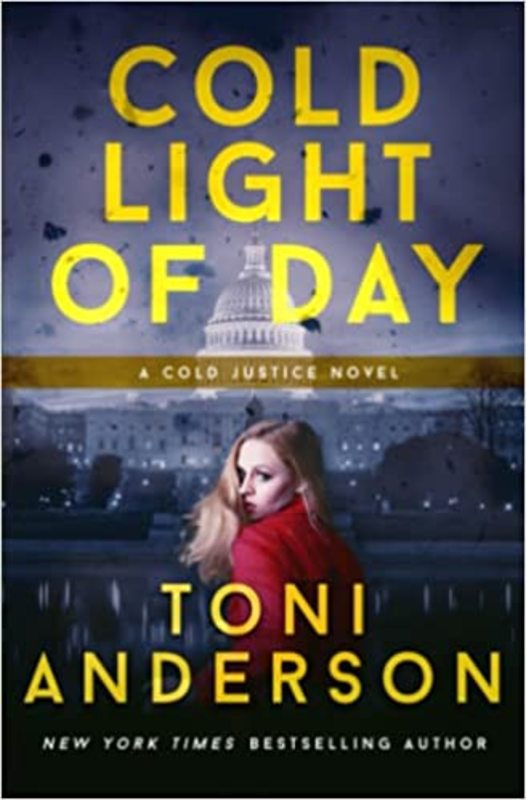 Book cover for "Cold Light of Day" by Toni Anderson