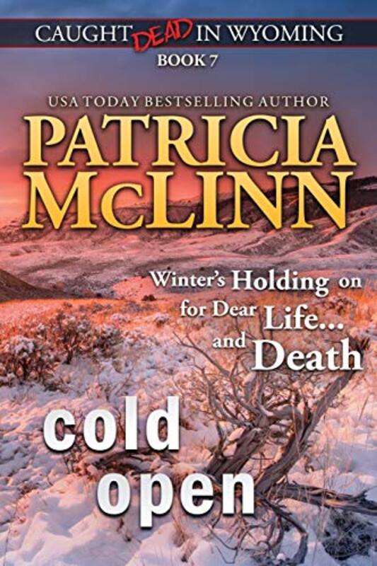 Book cover for "Cold Open" by Patricia McLinn