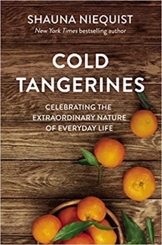 Book cover for "Cold Tangerines"