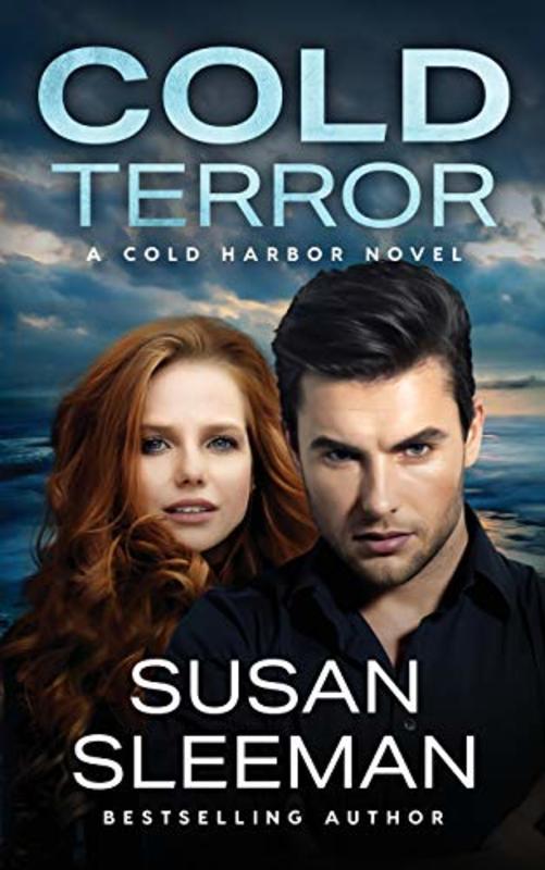 Book cover for "Cold Terror" by Susan Sleeman