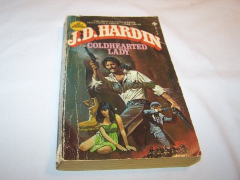 Book cover for "Coldhearted Lady" by JD Hardin