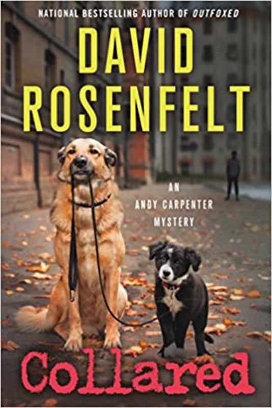 Book cover for "Collared" by David Rosenfelt