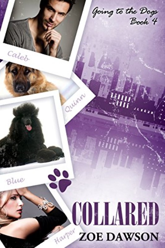 Book cover for "Collared" by Zoe Dawson