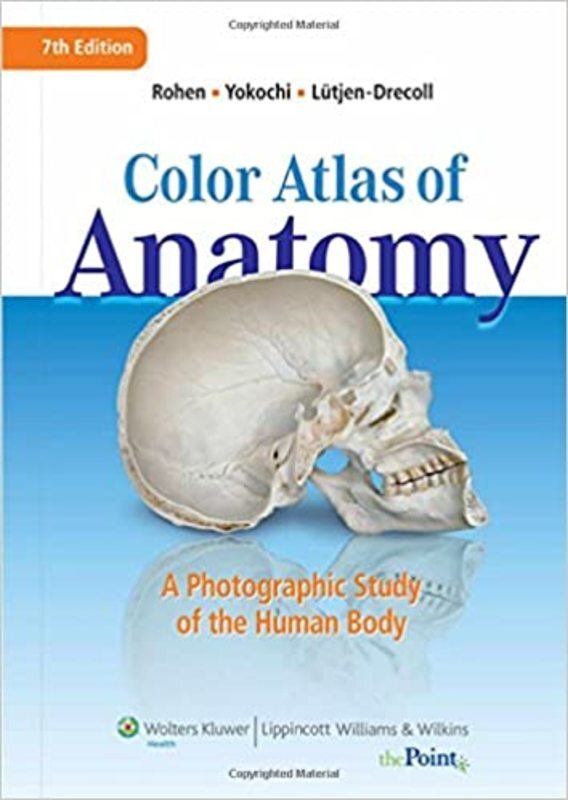 Book cover for "Color Atlas of Anatomy" by Johannes W. Rohen MD