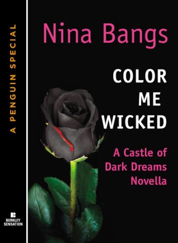 Nina Bangs book cover