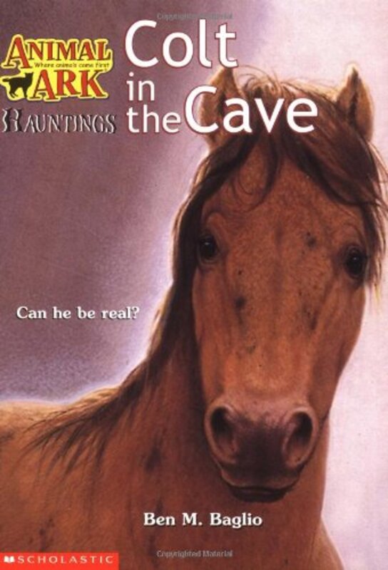 Book cover for "Colt in the Cave" by Lucy Daniels