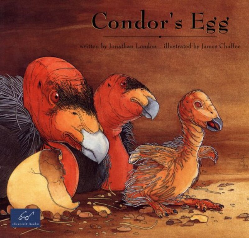 Book cover for "Condor's Egg" by Jonathan London