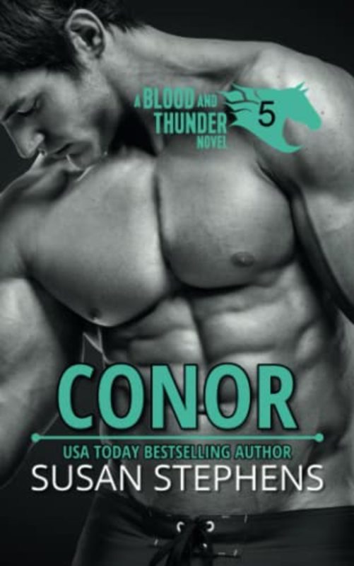 Susan Stephens book cover