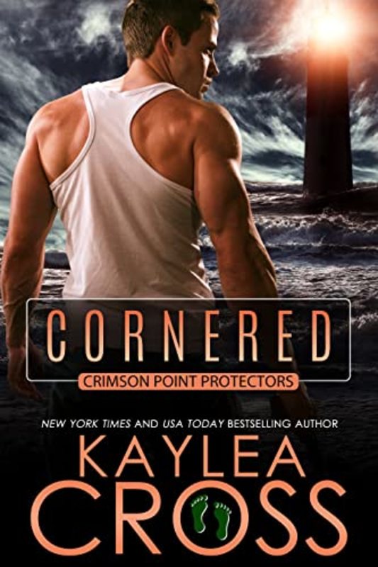 Kaylea Cross book cover