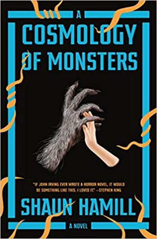 Shaun Hamill book cover