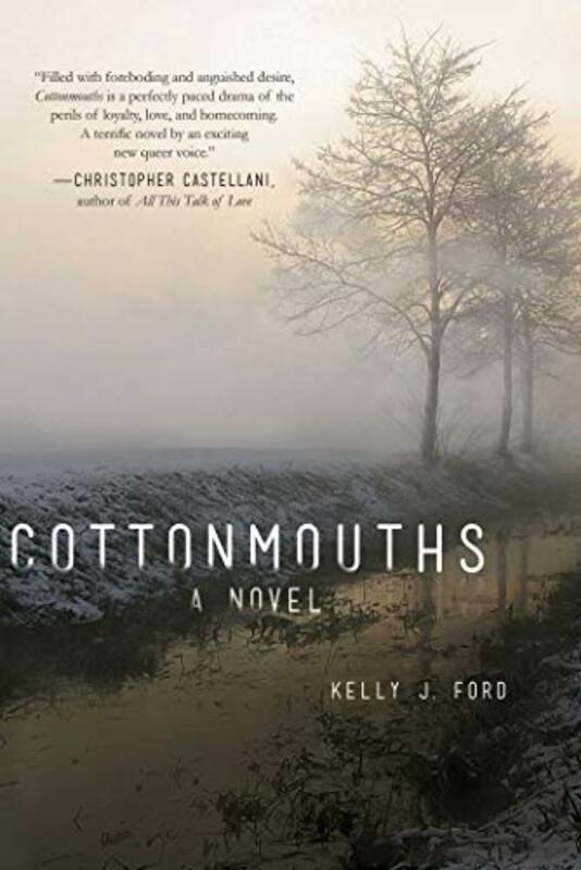 Kelly J Ford book cover