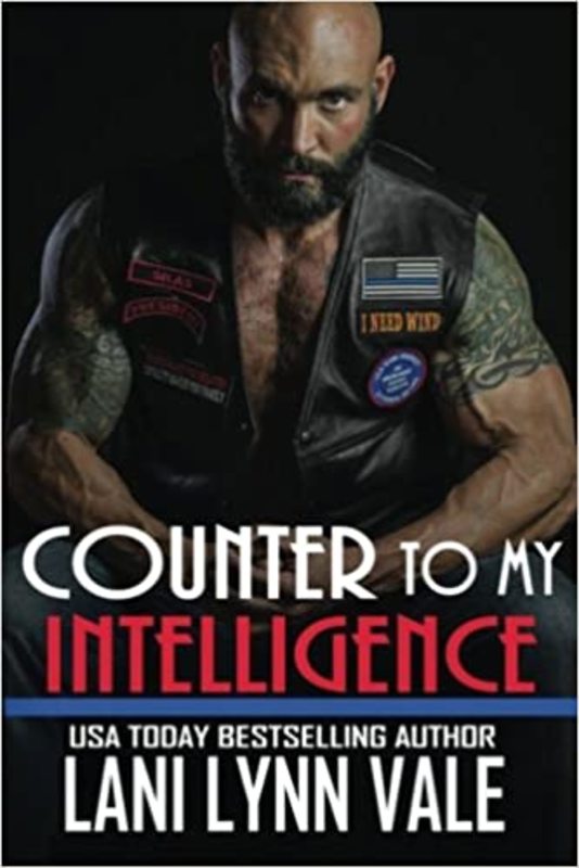 Heroes of The Dixie Wardens MC book cover