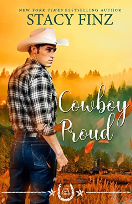Stacy Finz book cover