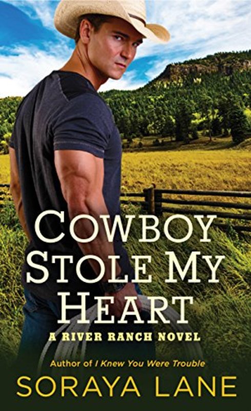 Book cover for "Cowboy Stole My Heart" by Soraya M Lane