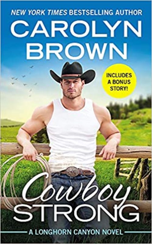 Longhorn Canyon book cover