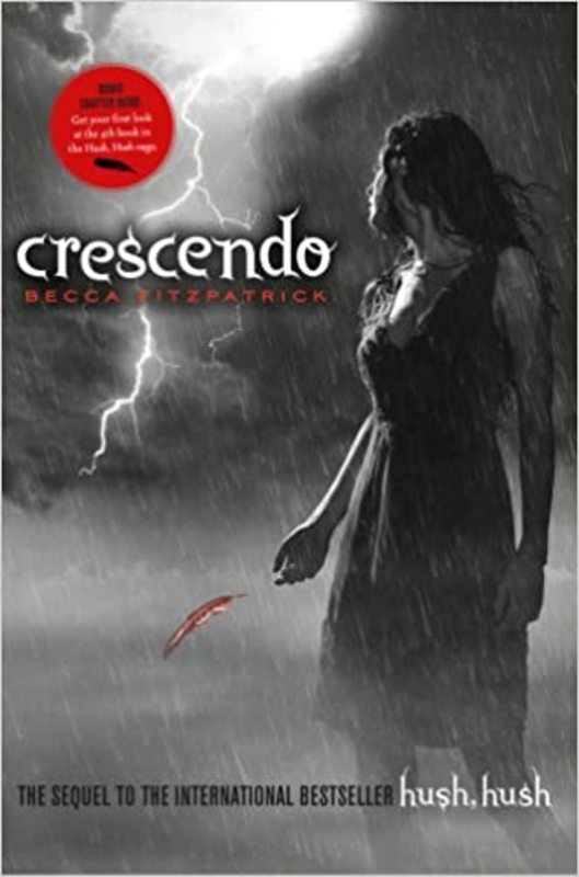 Hush, Hush book cover
