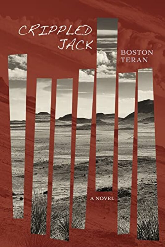 Boston Teran book cover