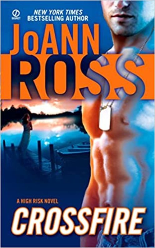 High Risk book cover