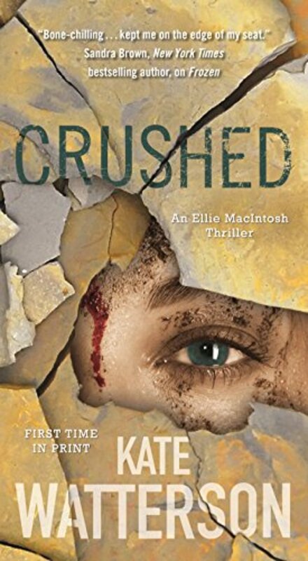 Detective Ellie MacIntosh book cover