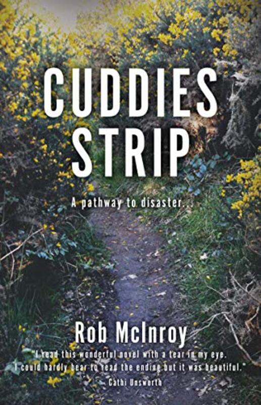 Rob McInroy book cover
