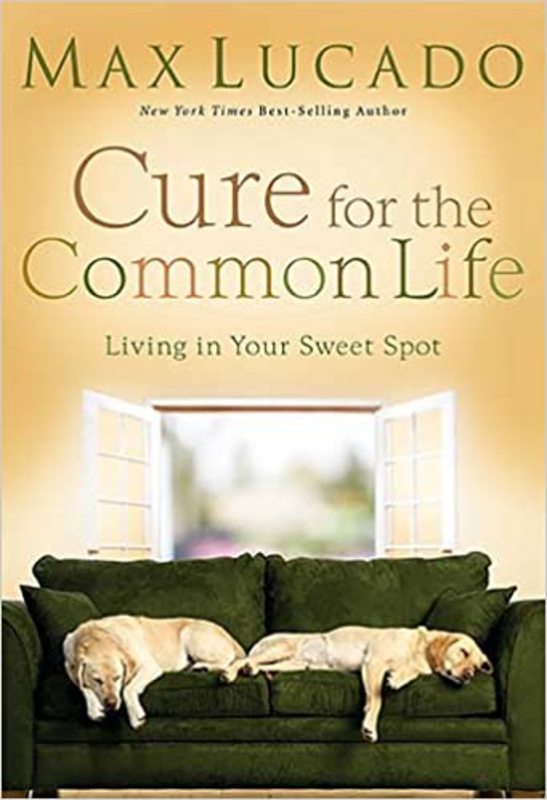 Book cover for "Cure for the Common Life" by Max Lucado