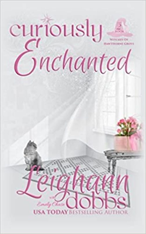 Book cover for "Curiously Enchanted" by Leighann Dobbs
