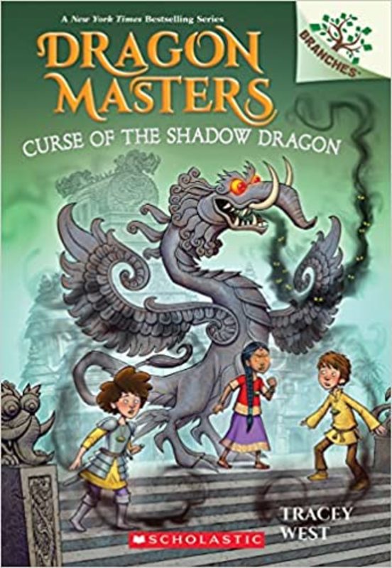 Dragon Masters book cover