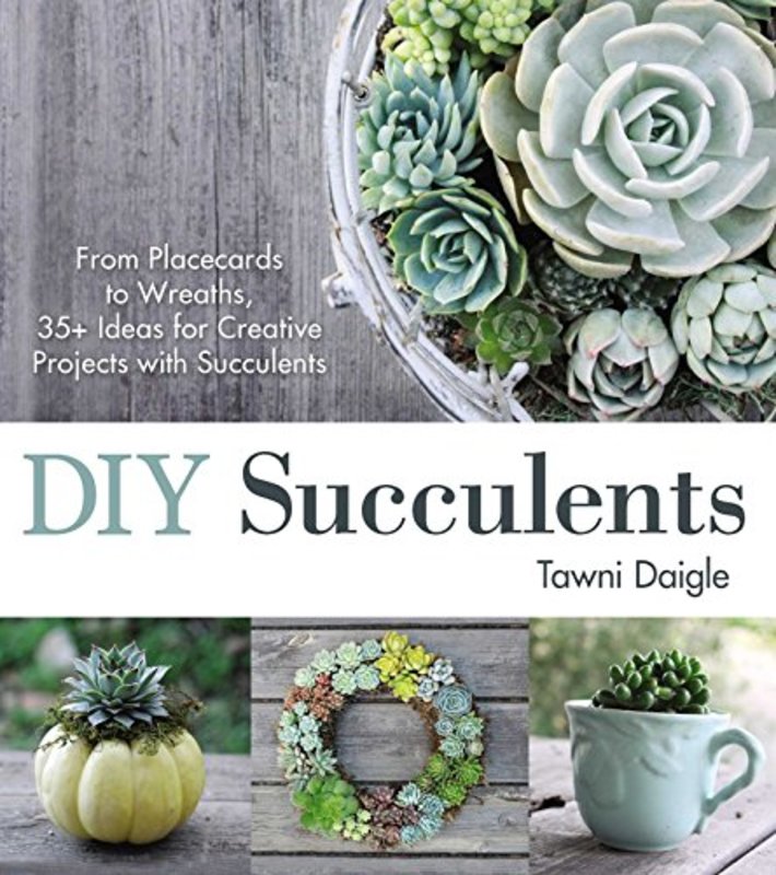 Book cover for "DIY Succulents" by Tawni Daigle