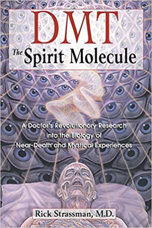 Book cover for "DMT" by Rick Strassman