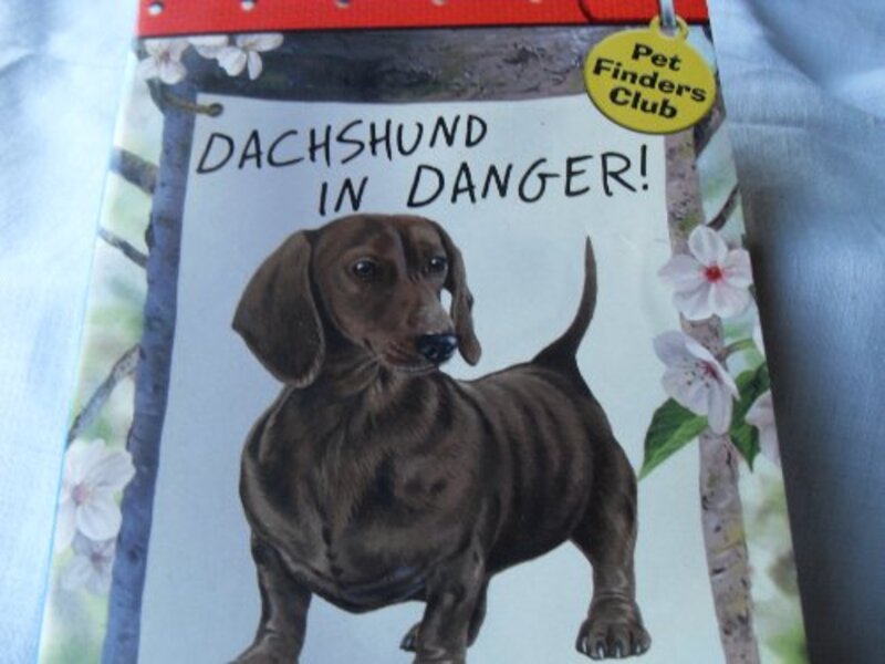 Pet Finders Club book cover