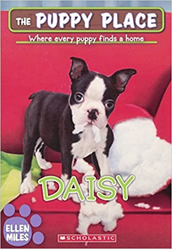 Book cover for "Daisy" by Ellen Miles