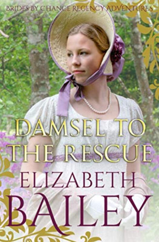 Book cover for "Damsel To The Rescue" by Elizabeth Bailey