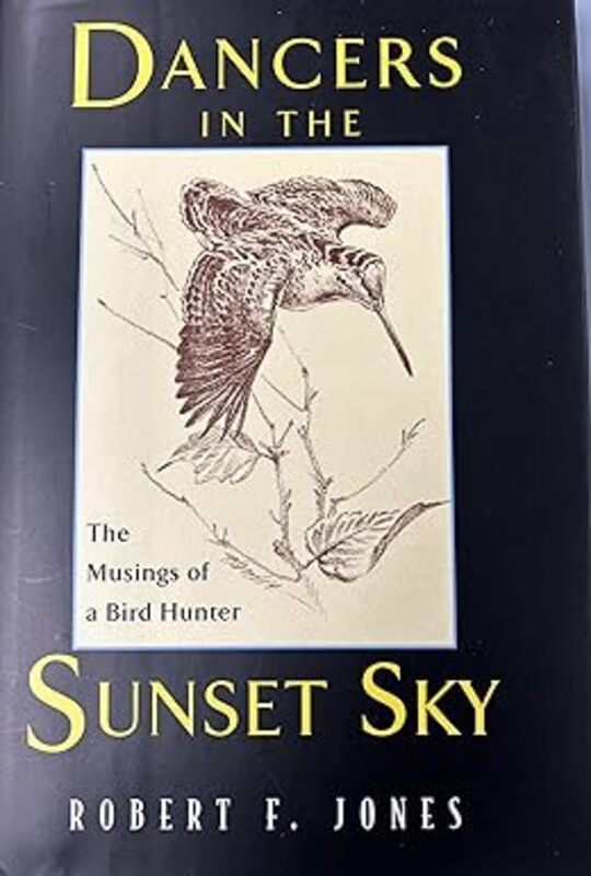 Book cover for "Dancers in the Sunset Sky" by Robert F Jones