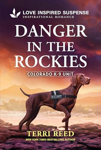 Book cover for "Danger in the Rockies" by Terri Reed