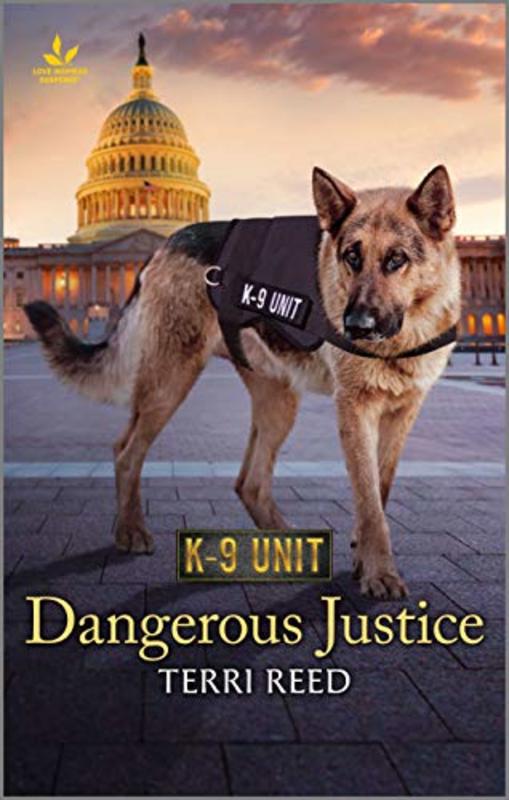 Book cover for "Dangerous Justice" by Terri Reed