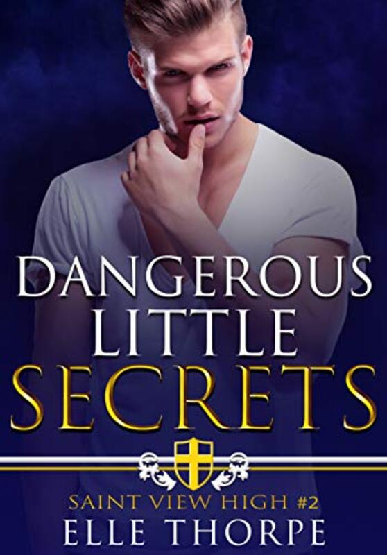 Book cover for "Dangerous Little Secrets" by Elle Thorpe