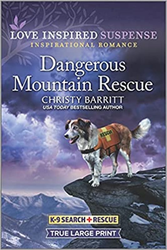 Christy Barritt book cover