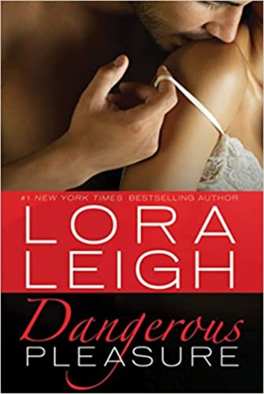 The Bound Hearts book cover