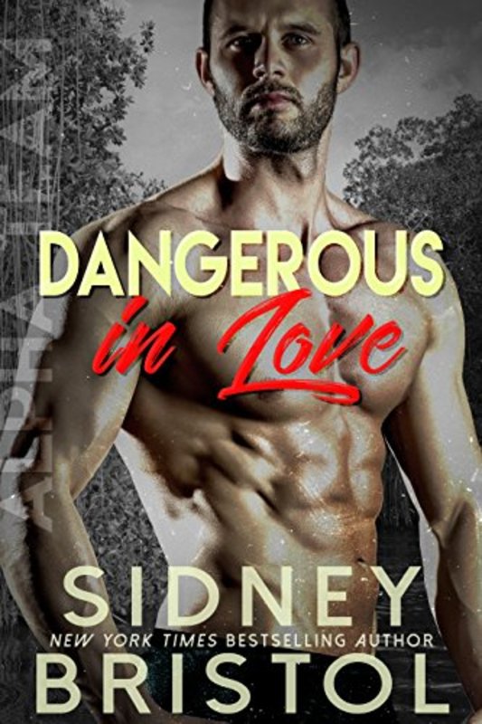 Book cover for "Dangerous in Love" by Sidney Bristol