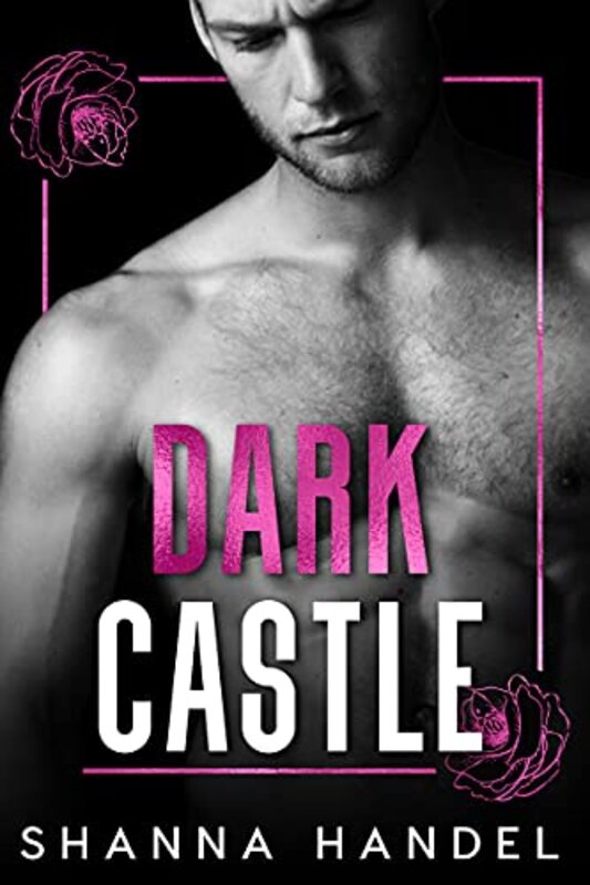 Book cover for "Dark Castle" by Shanna Handel
