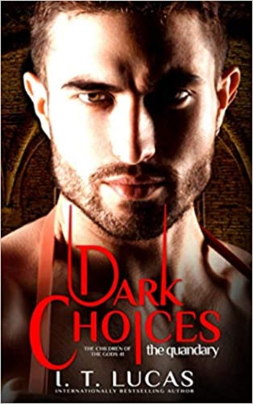 Book cover for "Dark Choices The Quandary" by I T Lucas