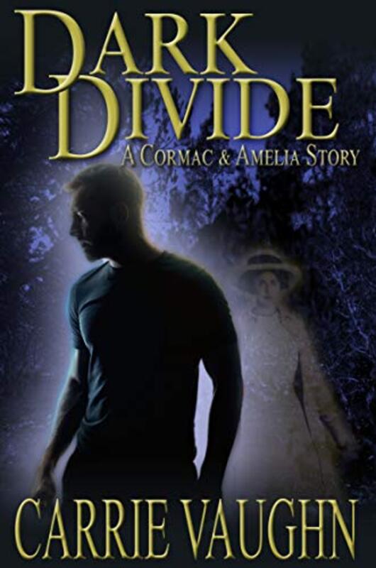 Book cover for "Dark Divide" by Carrie Vaughn