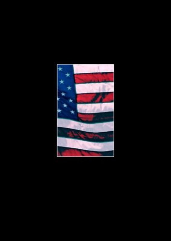 Book cover for "Dark Flag" by Kevin Wignall