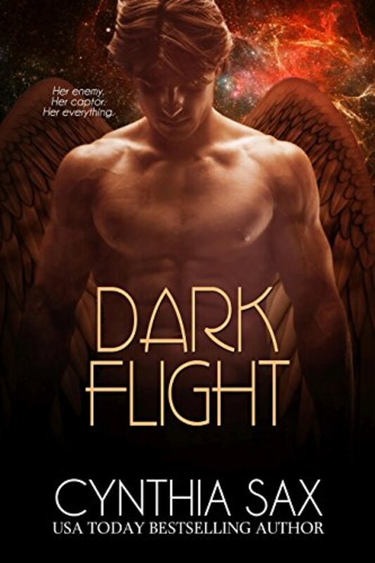 Book cover for "Dark Flight" by Cynthia Sax